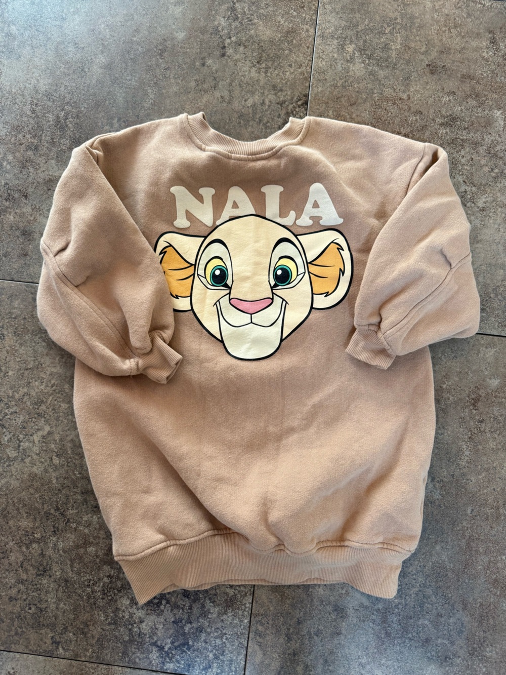 Zara Disney sweatshirt